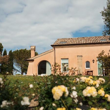 Nontiscordardime B&B Villa Agriturismo 시비타노바 마르셰 외부 사진