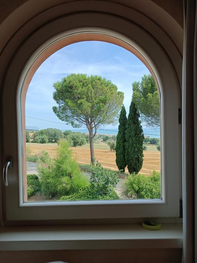 Nontiscordardime B&B Villa Agriturismo 시비타노바 마르셰 외부 사진