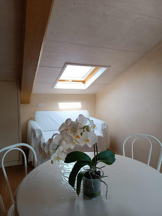 Nontiscordardime B&B Villa Agriturismo 시비타노바 마르셰 외부 사진